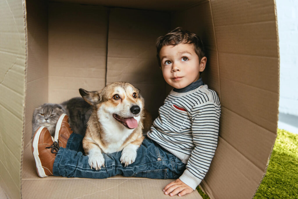 PAS y la conexión especial con los animales